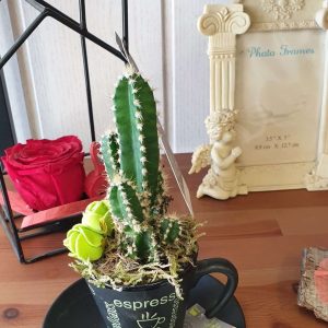 213644811_1476222316062550_4392030805513114670_n - Copie