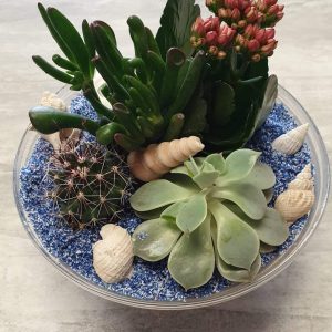 213725419_1476238216060960_1255159757017170405_n - Copie