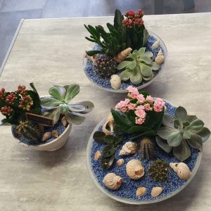 215256806_1476247502726698_5132741572484342347_n - Copie