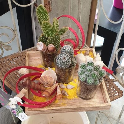 215314197_1476222769395838_6055413463520713692_n - Copie