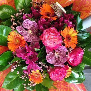 215314635_1477107445974037_8597822653149389247_n