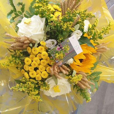 236591535_1502147080136740_2283639400108481913_n