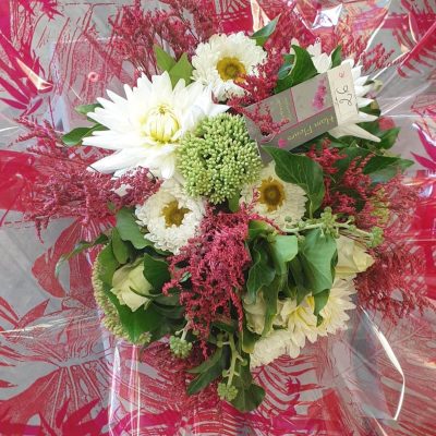 236634045_1502147360136712_3819674621714039539_n