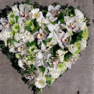 31924663_614764275541696_6407678132857339904_n