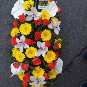 32512105_619750755043048_2879393410072969216_n