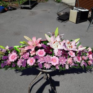 38167231_684939511857505_8718034512749002752_n